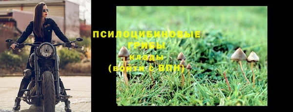 скорость Белокуриха